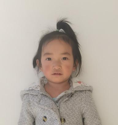 走失者照片 急寻孩子父母：保定4岁女童自幼被救...
